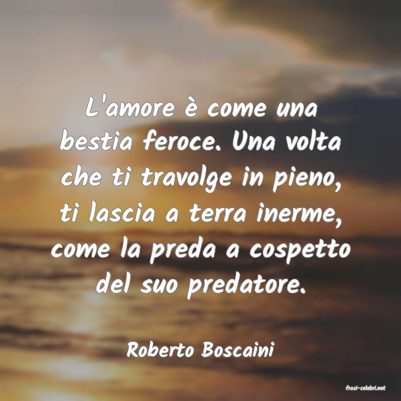 frasi di  Roberto Boscaini
