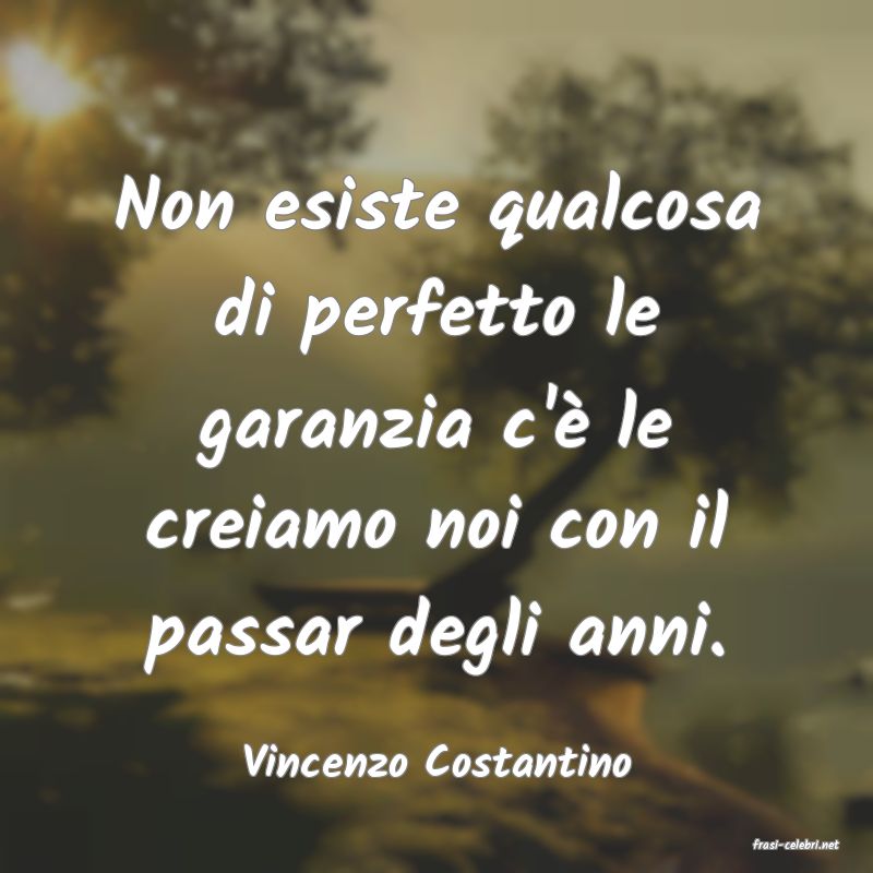 frasi di  Vincenzo Costantino
