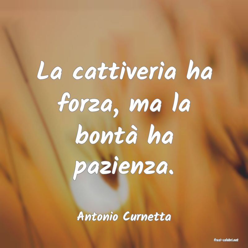 frasi di  Antonio Curnetta

