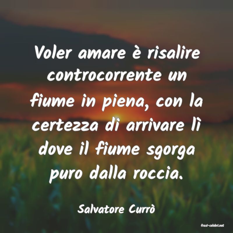 frasi di Salvatore Curr