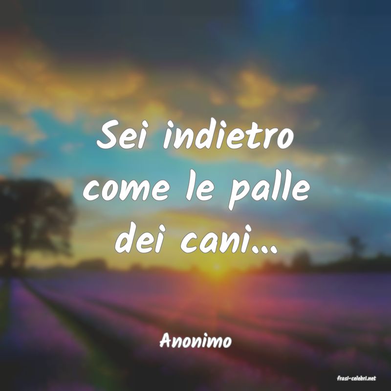 frasi di  Anonimo
