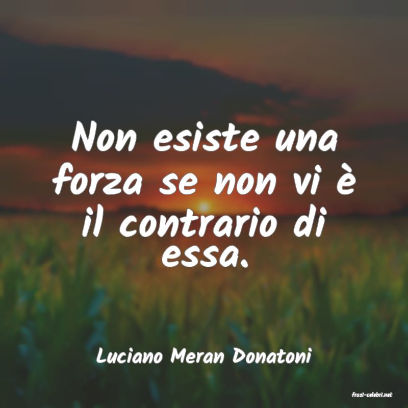 frasi di  Luciano Meran Donatoni
