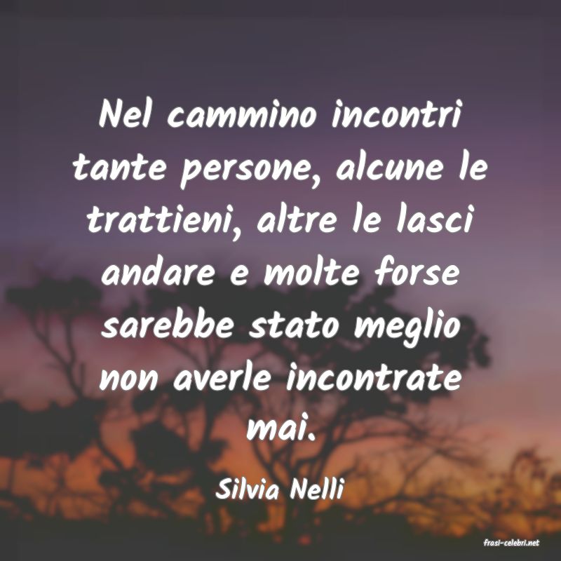 frasi di  Silvia Nelli
