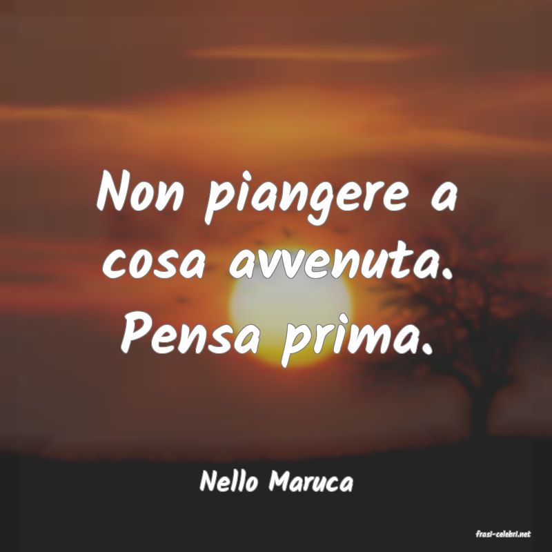 frasi di  Nello Maruca
