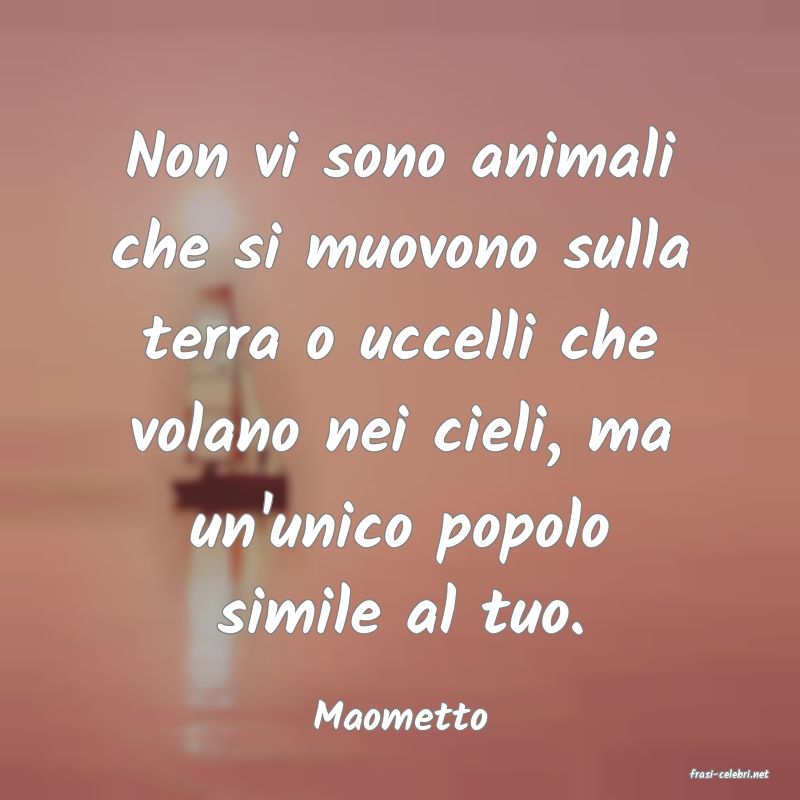 frasi di Maometto