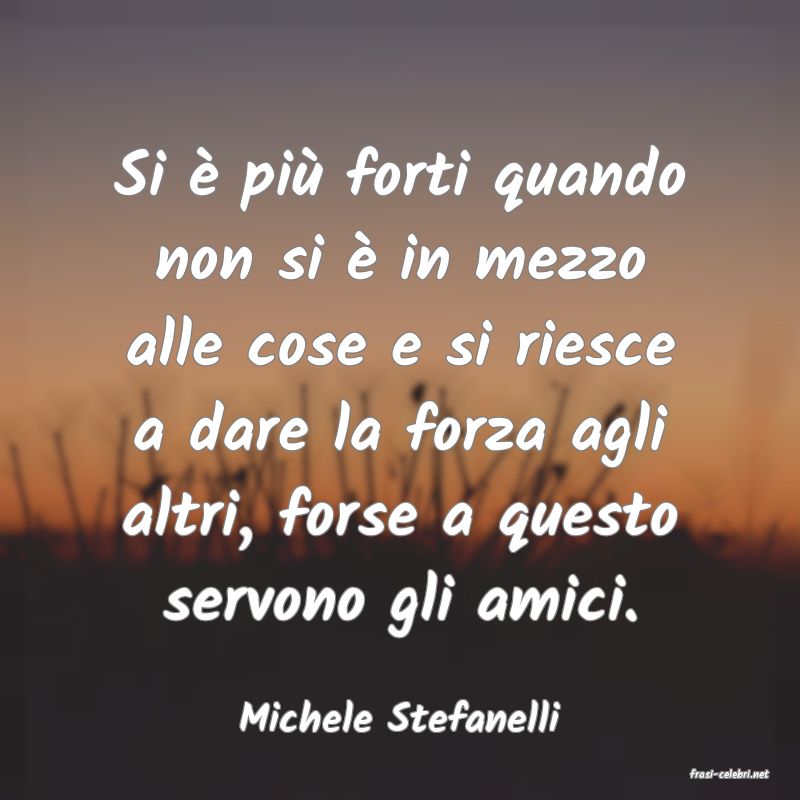 frasi di Michele Stefanelli