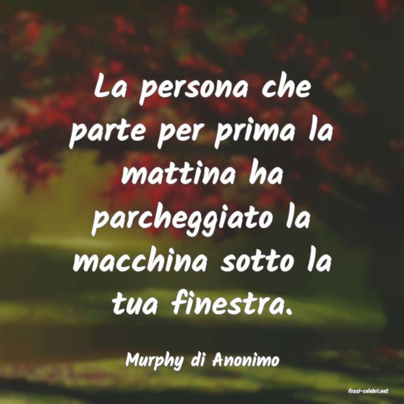 frasi di Murphy di Anonimo