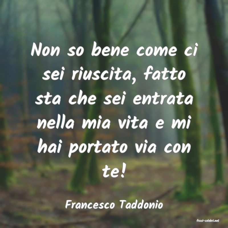 frasi di Francesco Taddonio