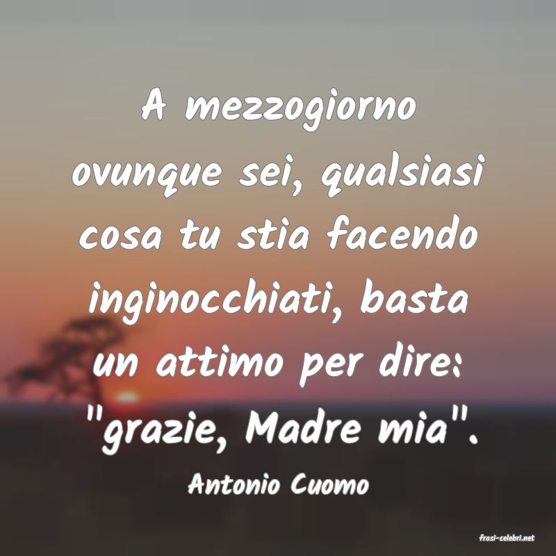 frasi di  Antonio Cuomo
