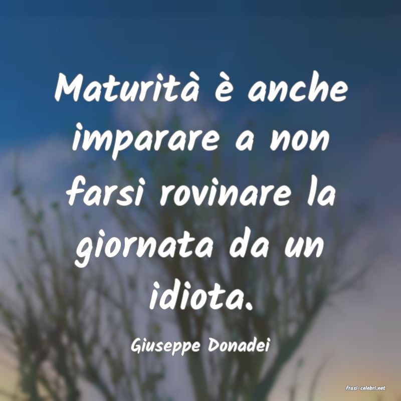 frasi di  Giuseppe Donadei
