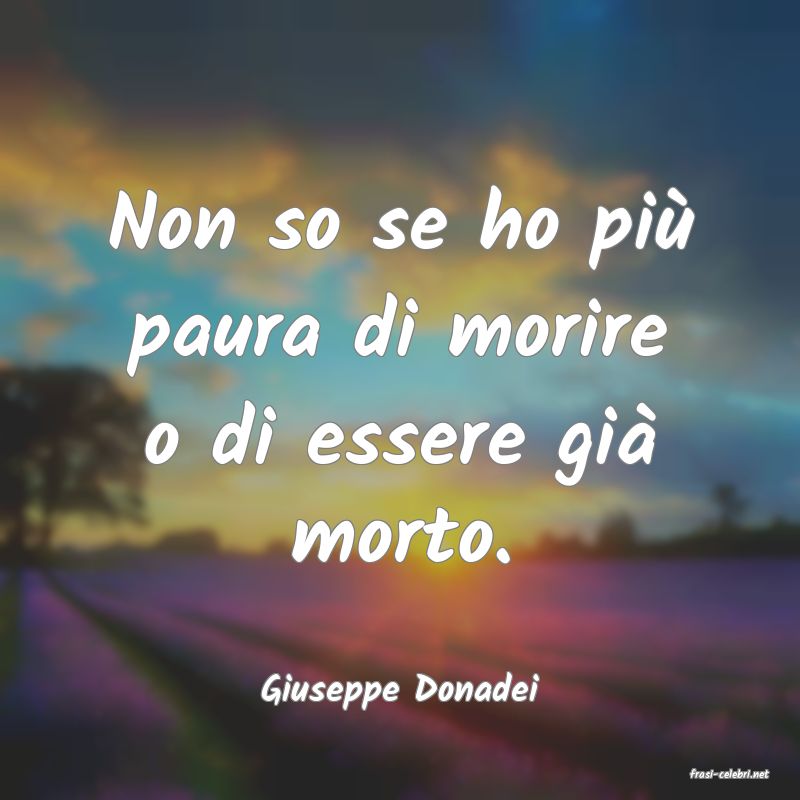 frasi di  Giuseppe Donadei
