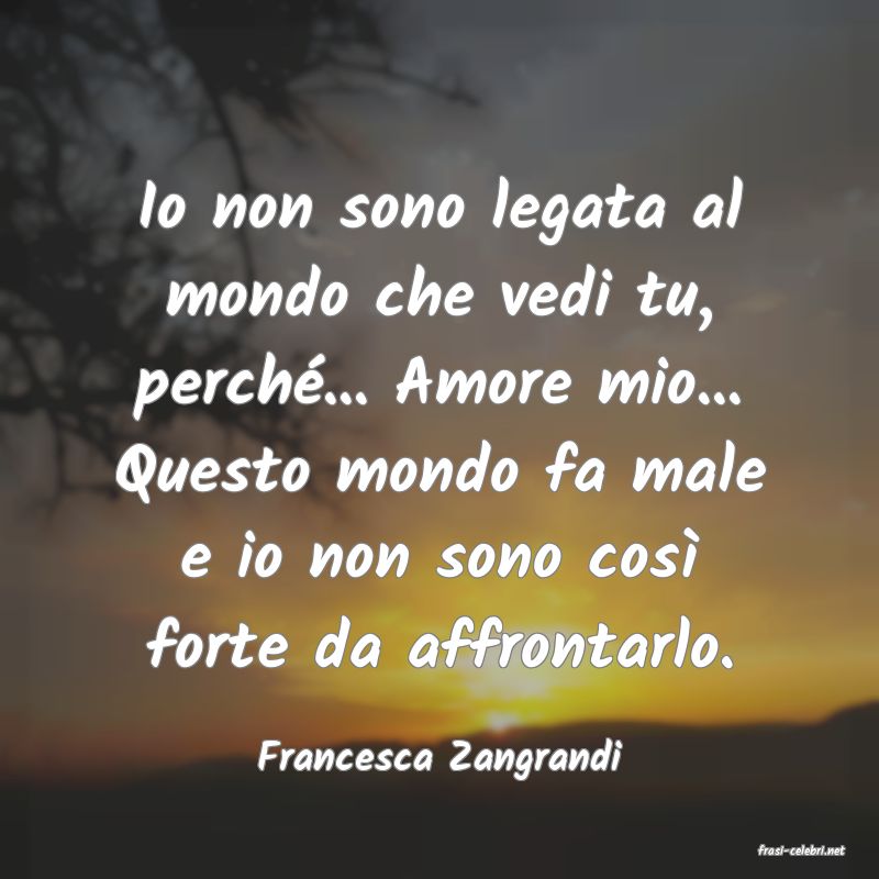 frasi di  Francesca Zangrandi
