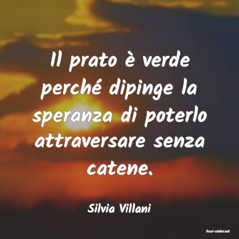 frasi di  Silvia Villani
