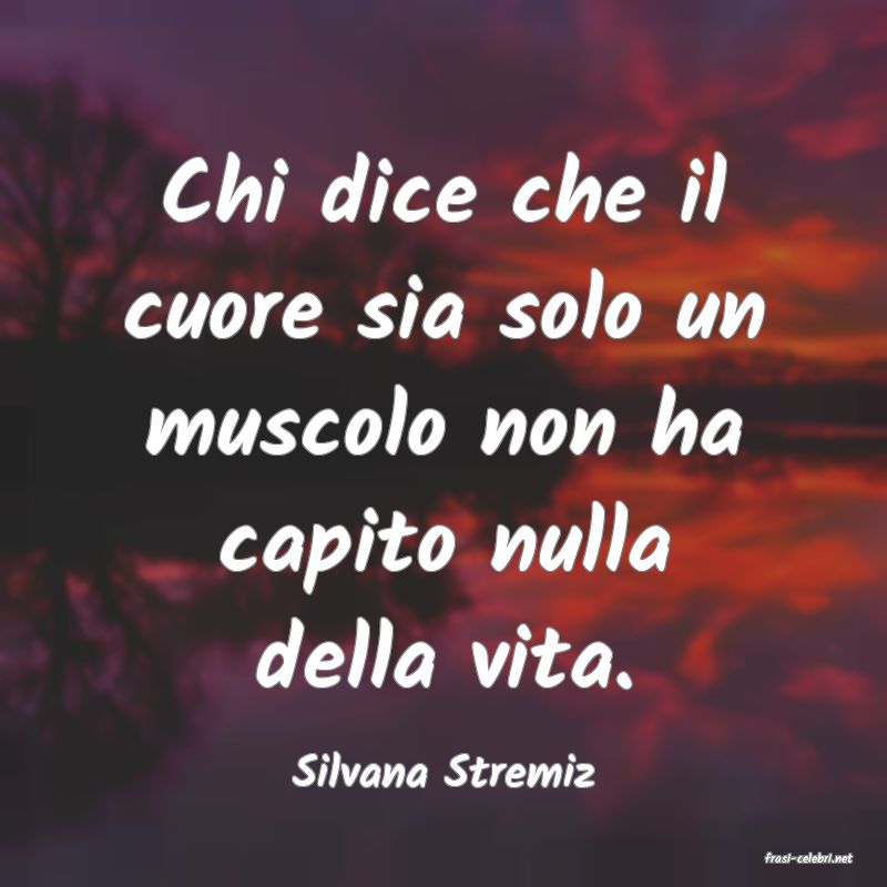 frasi di  Silvana Stremiz
