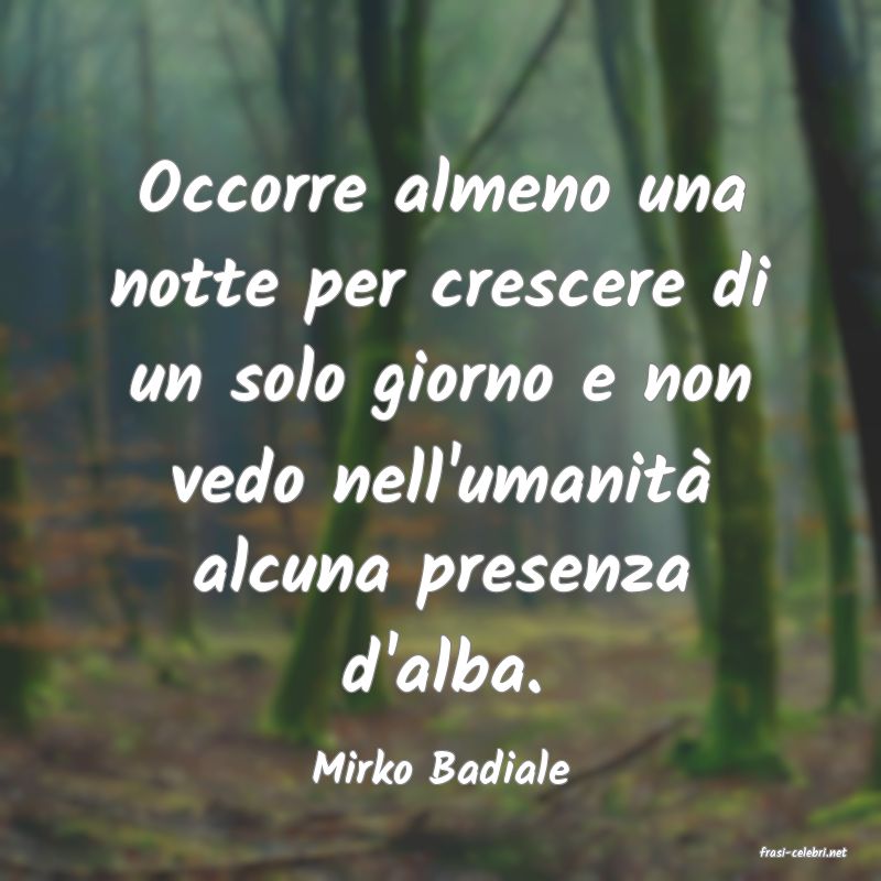 frasi di  Mirko Badiale
