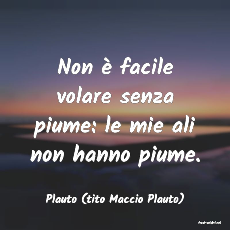 frasi di  Plauto (tito Maccio Plauto)
