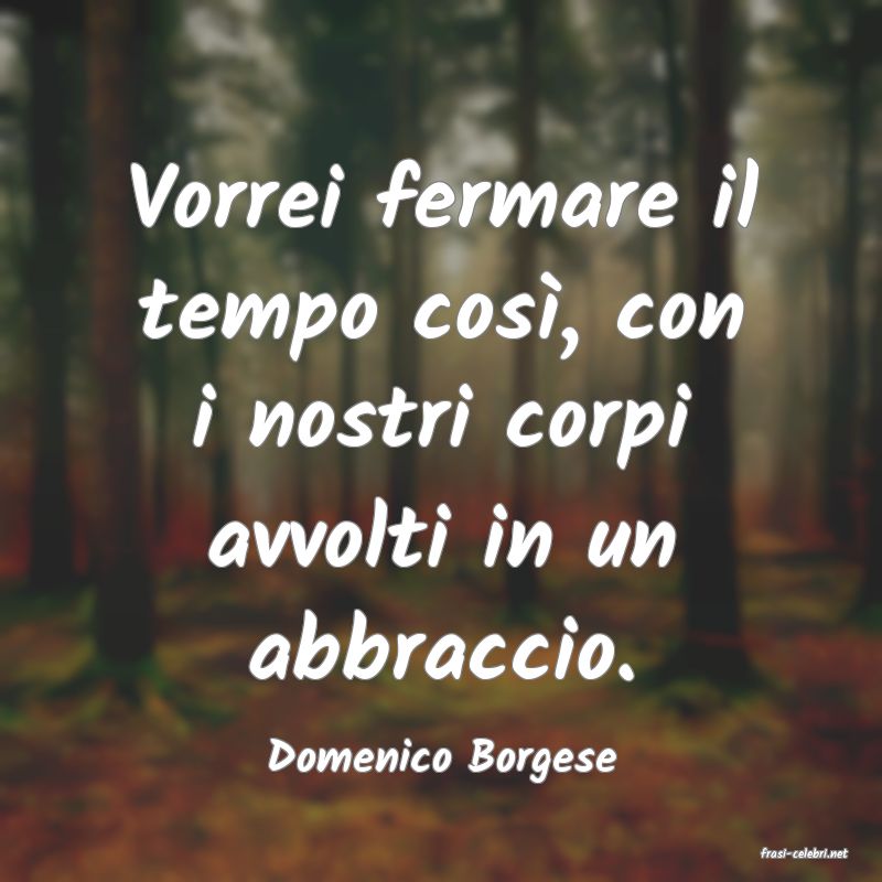 frasi di  Domenico Borgese
