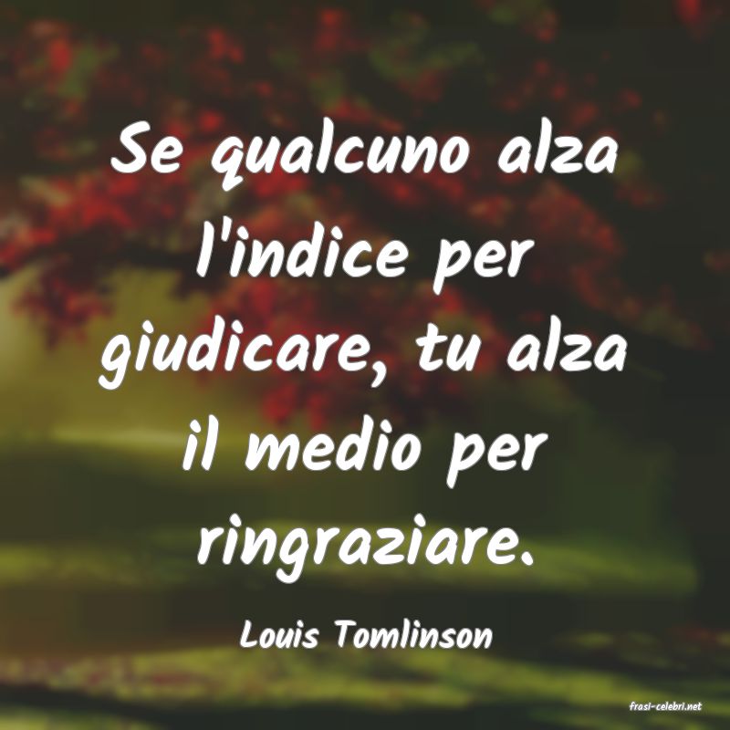 frasi di  Louis Tomlinson
