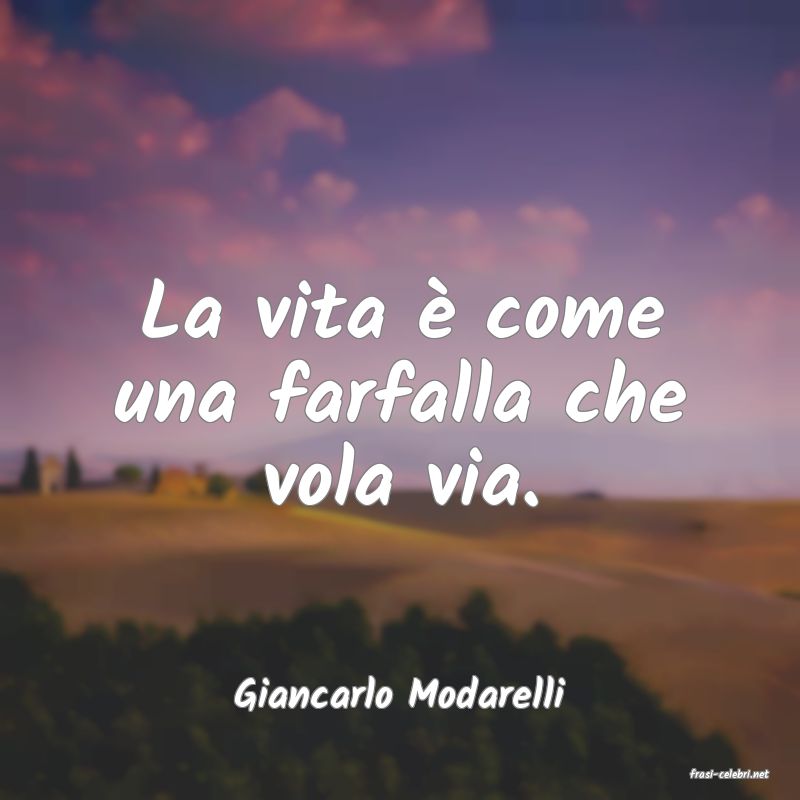frasi di  Giancarlo Modarelli
