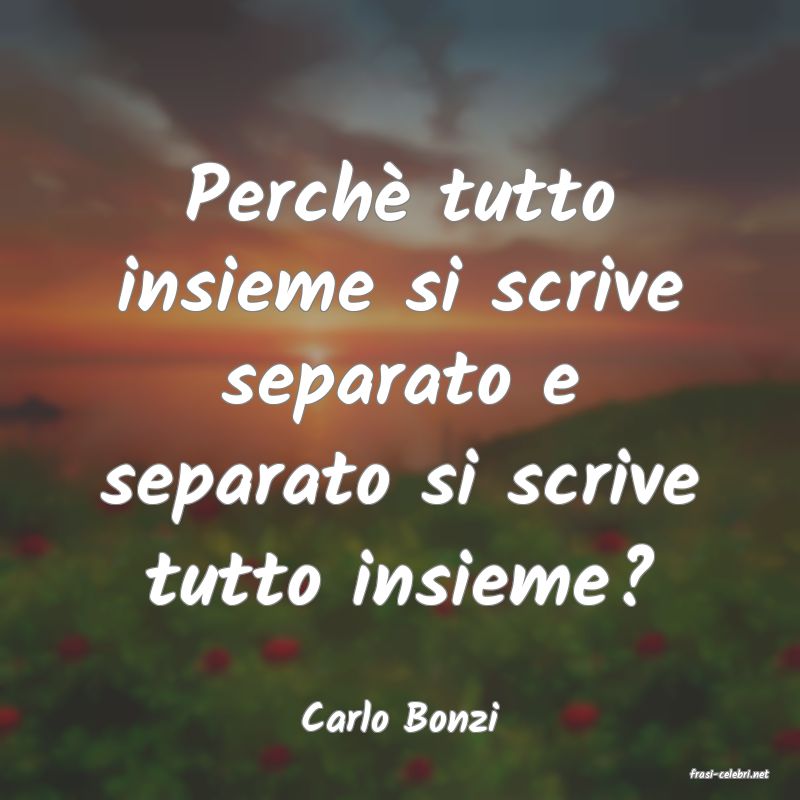 frasi di Carlo Bonzi