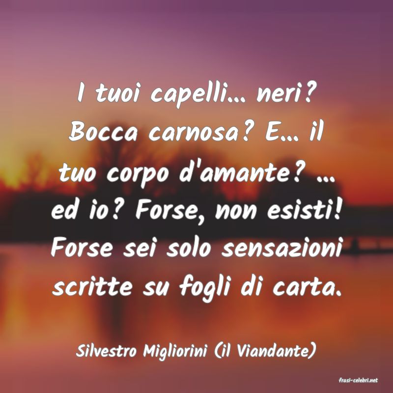 frasi di Silvestro Migliorini (il Viandante)