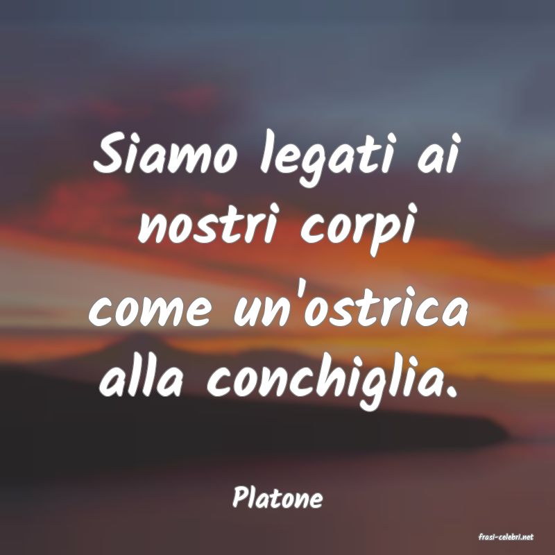 frasi di Platone