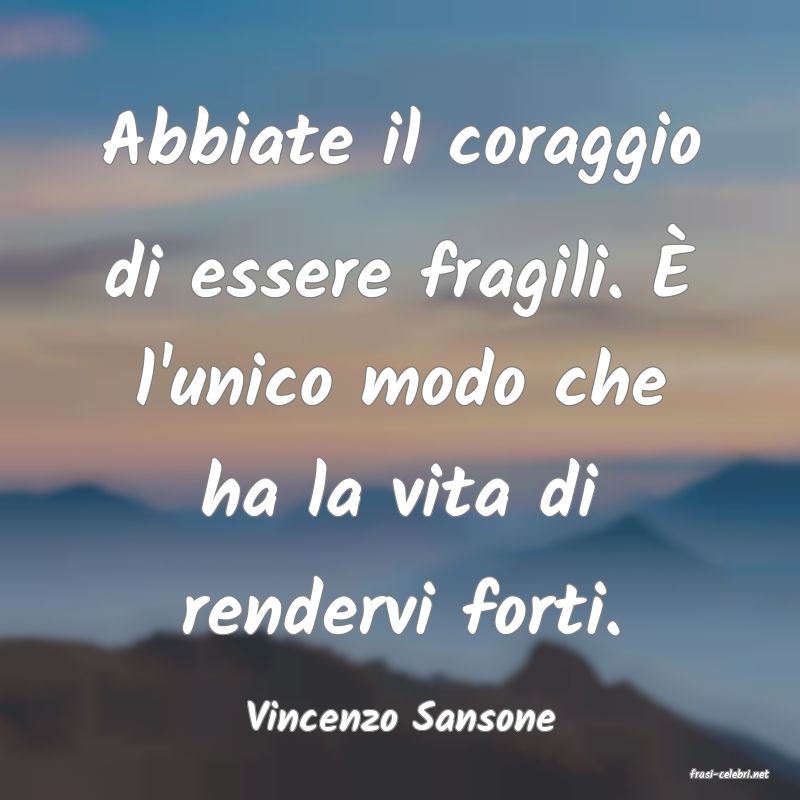 frasi di Vincenzo Sansone