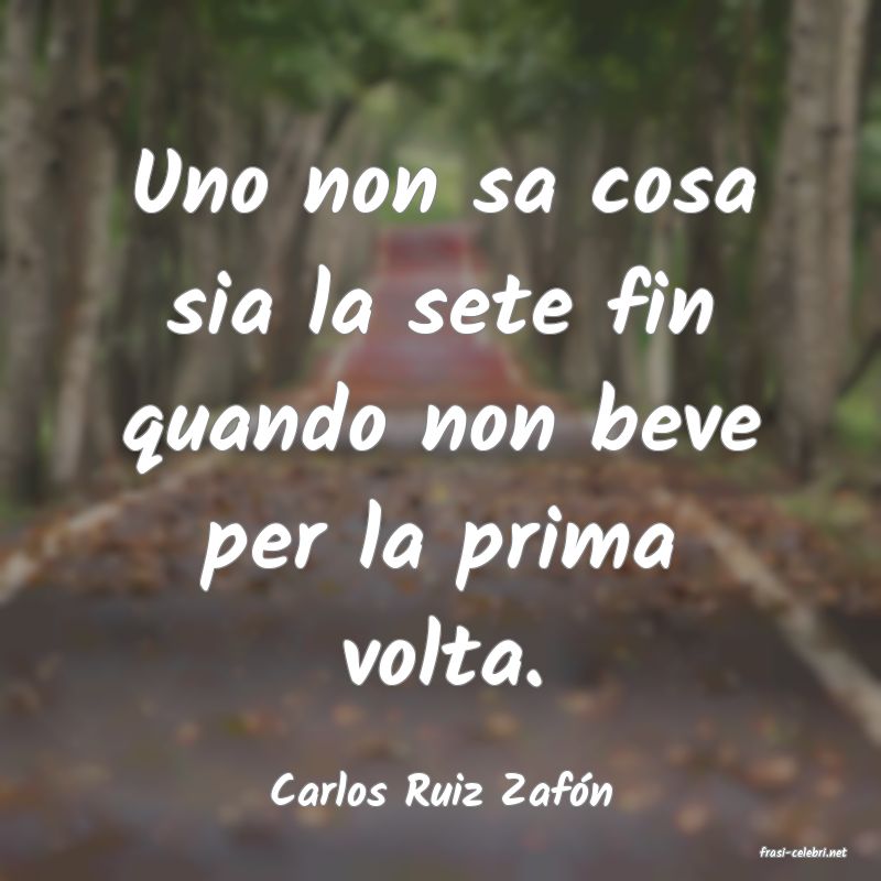 frasi di Carlos Ruiz Zafn
