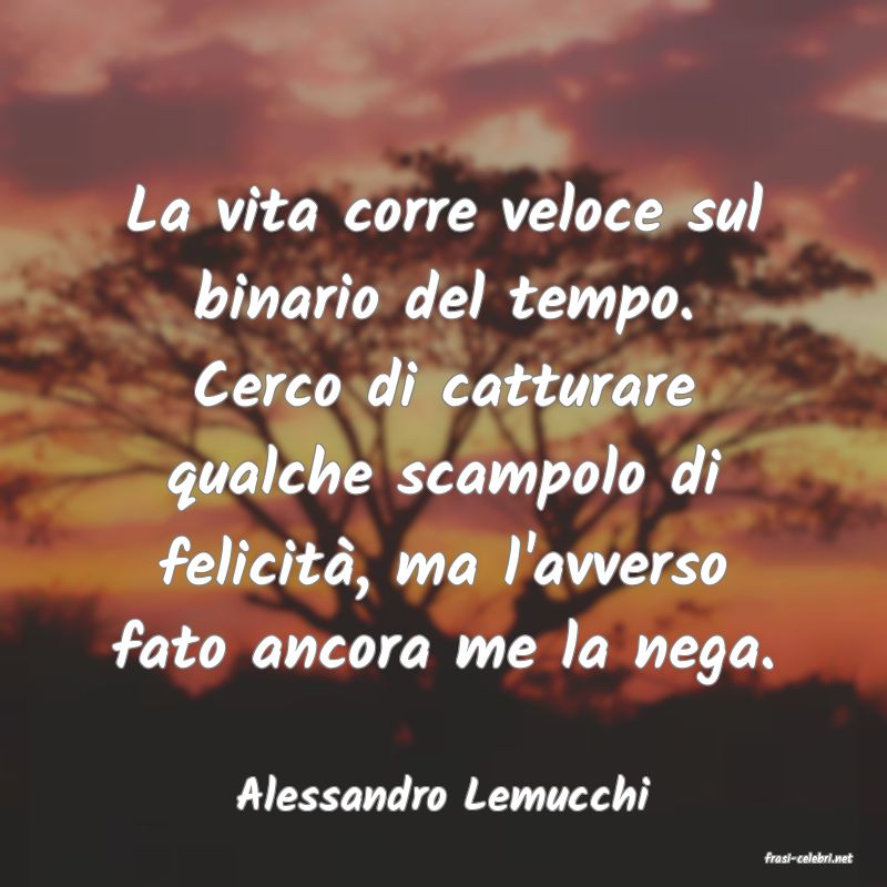 frasi di Alessandro Lemucchi