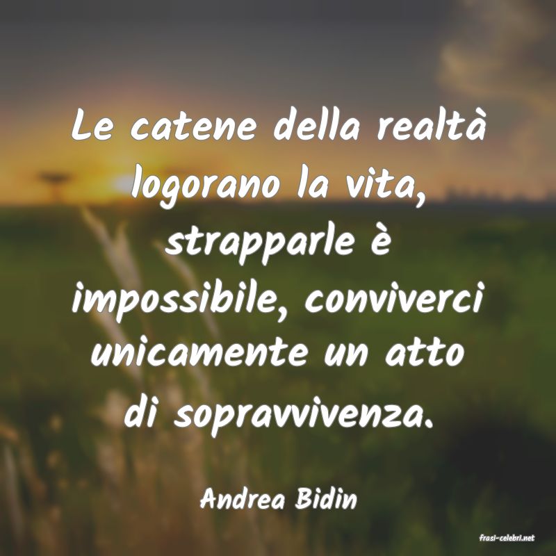 frasi di Andrea Bidin