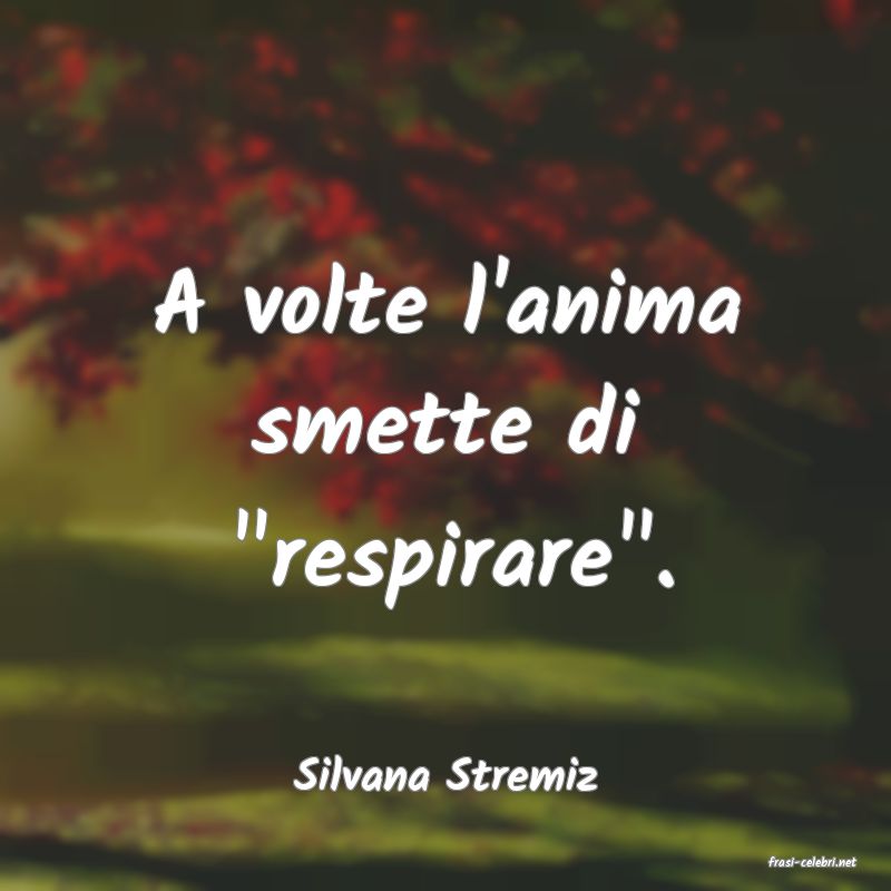 frasi di  Silvana Stremiz
