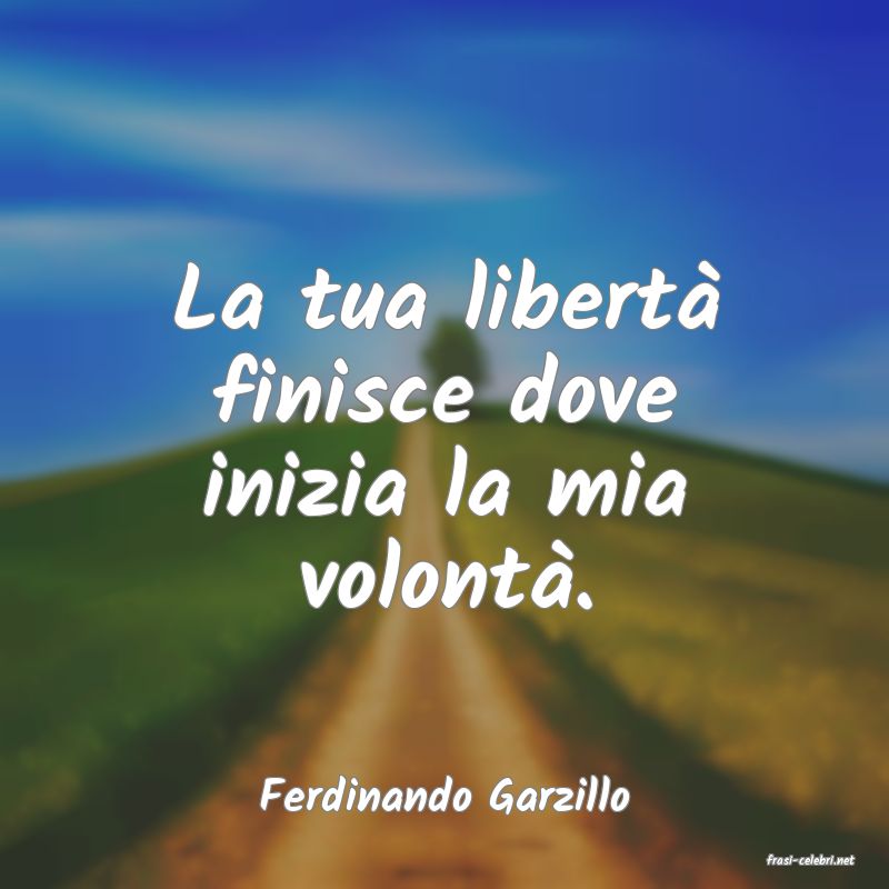 frasi di Ferdinando Garzillo