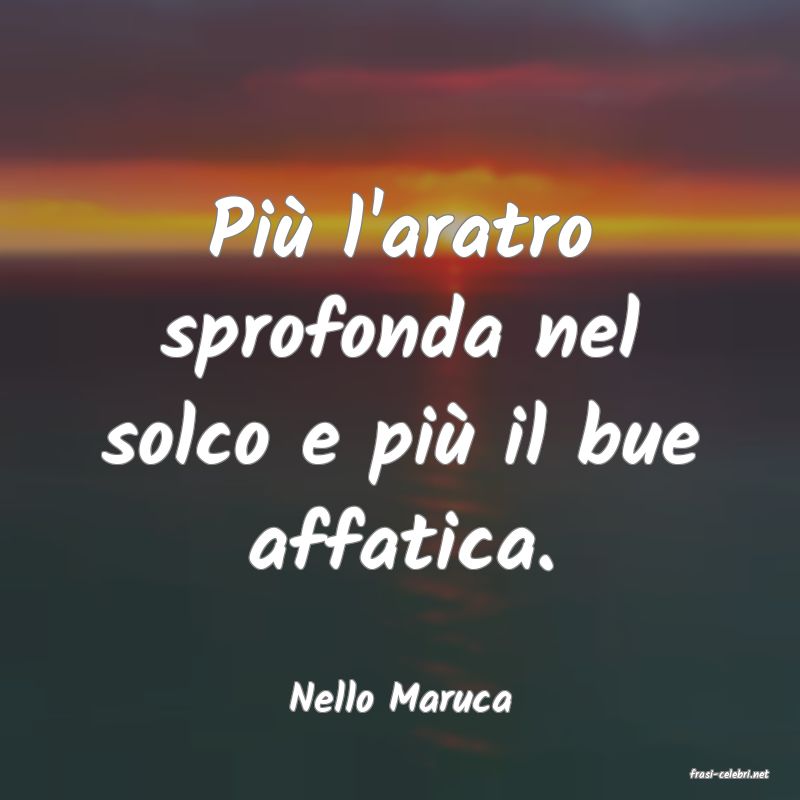 frasi di  Nello Maruca
