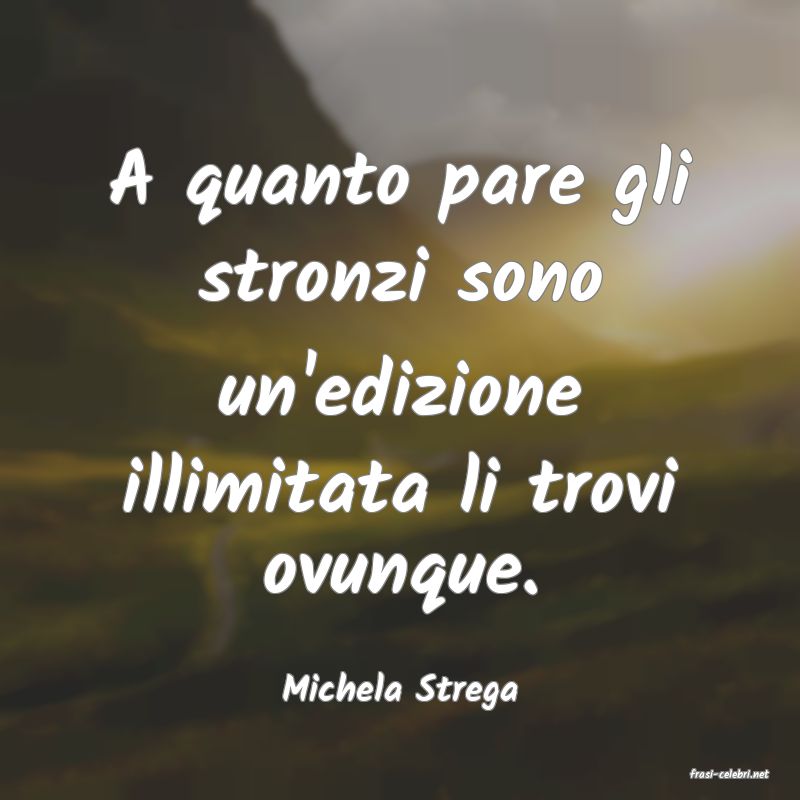frasi di  Michela Strega
