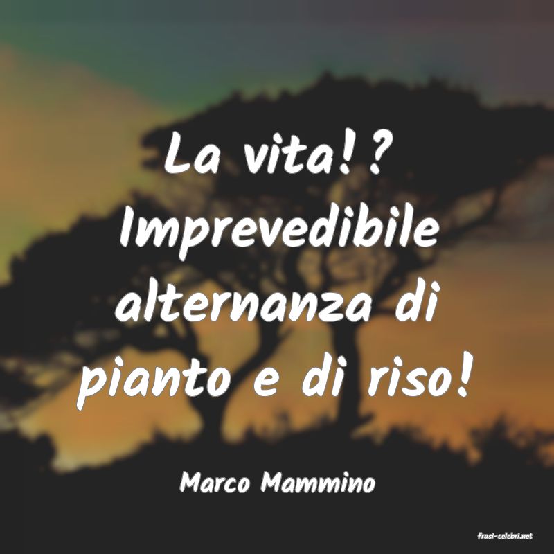 frasi di  Marco Mammino
