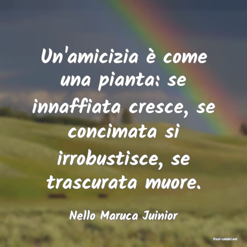 frasi di  Nello Maruca Juinior
