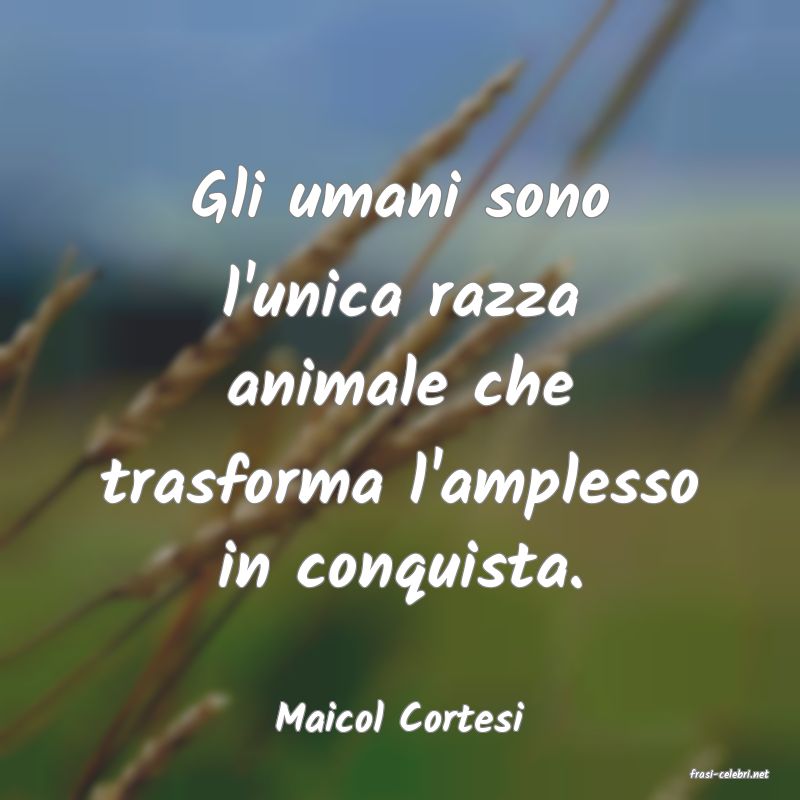 frasi di Maicol Cortesi