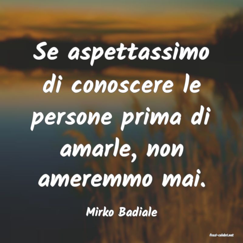 frasi di  Mirko Badiale
