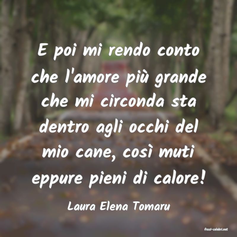 frasi di  Laura Elena Tomaru
