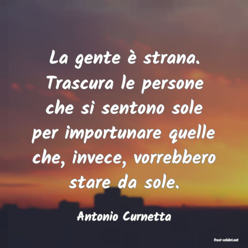 frasi di  Antonio Curnetta

