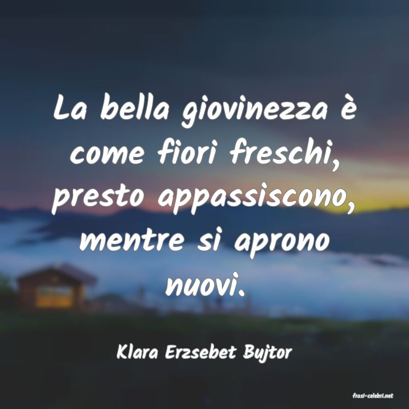 frasi di  Klara Erzsebet Bujtor
