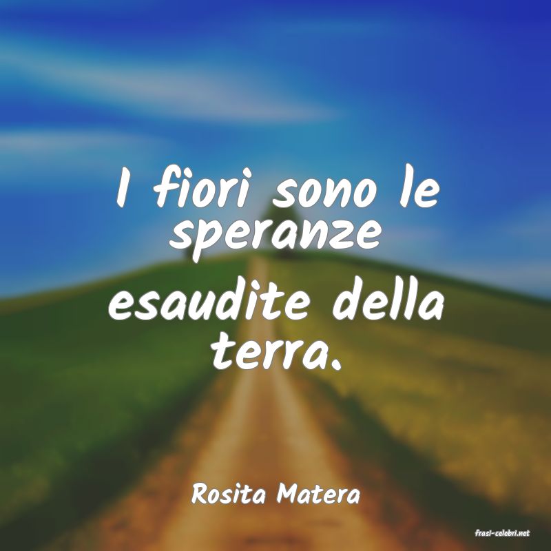 frasi di Rosita Matera