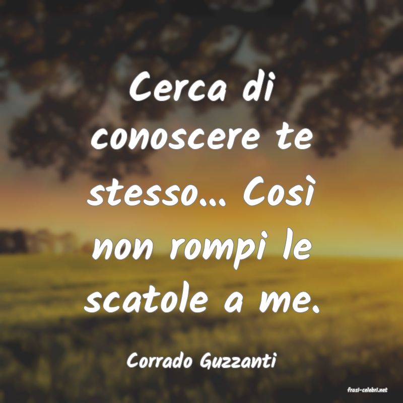 frasi di Corrado Guzzanti