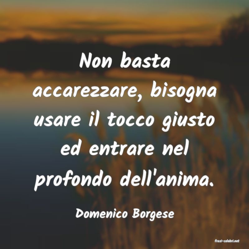 frasi di  Domenico Borgese
