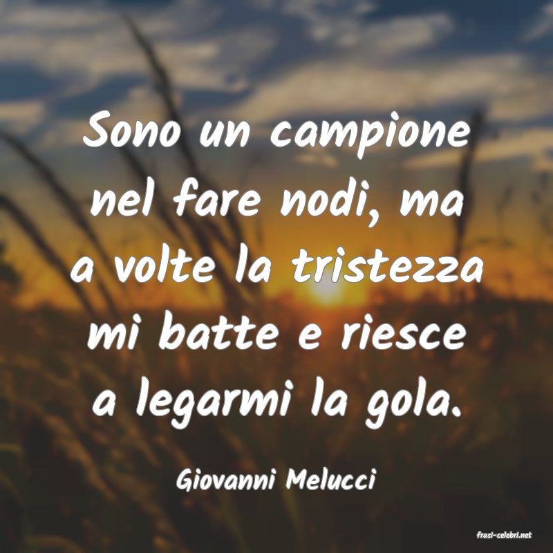 frasi di  Giovanni Melucci
