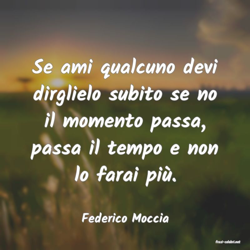 frasi di  Federico Moccia
