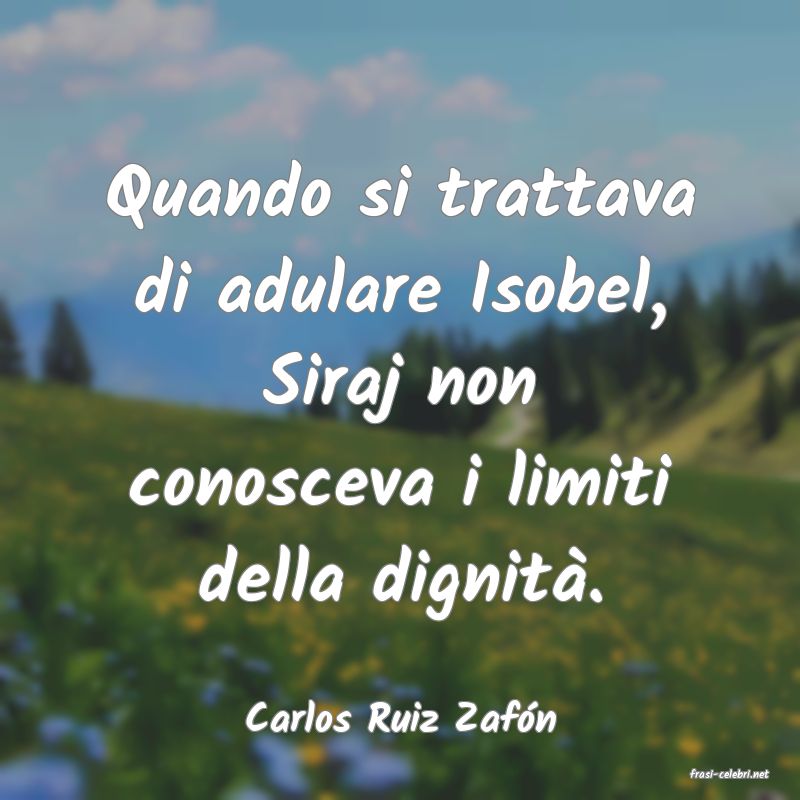 frasi di Carlos Ruiz Zafn