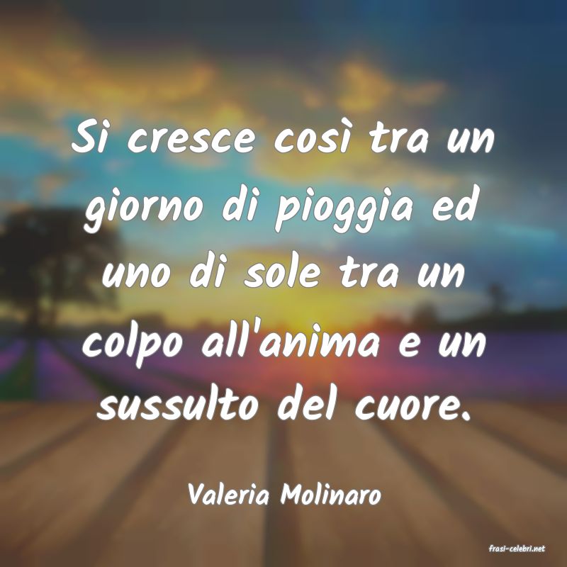 frasi di  Valeria Molinaro
