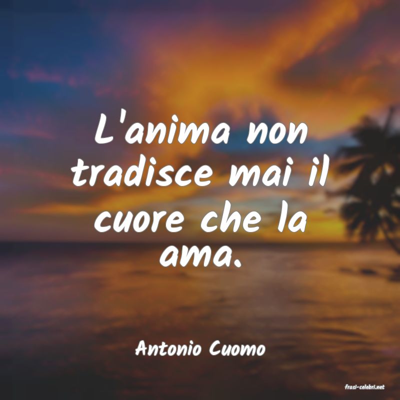 frasi di  Antonio Cuomo
