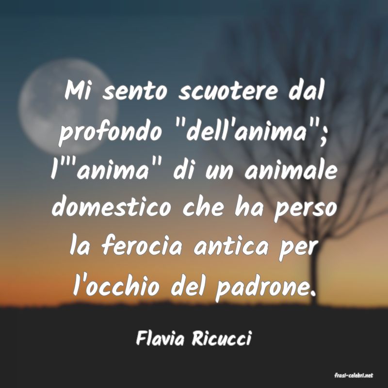 frasi di Flavia Ricucci
